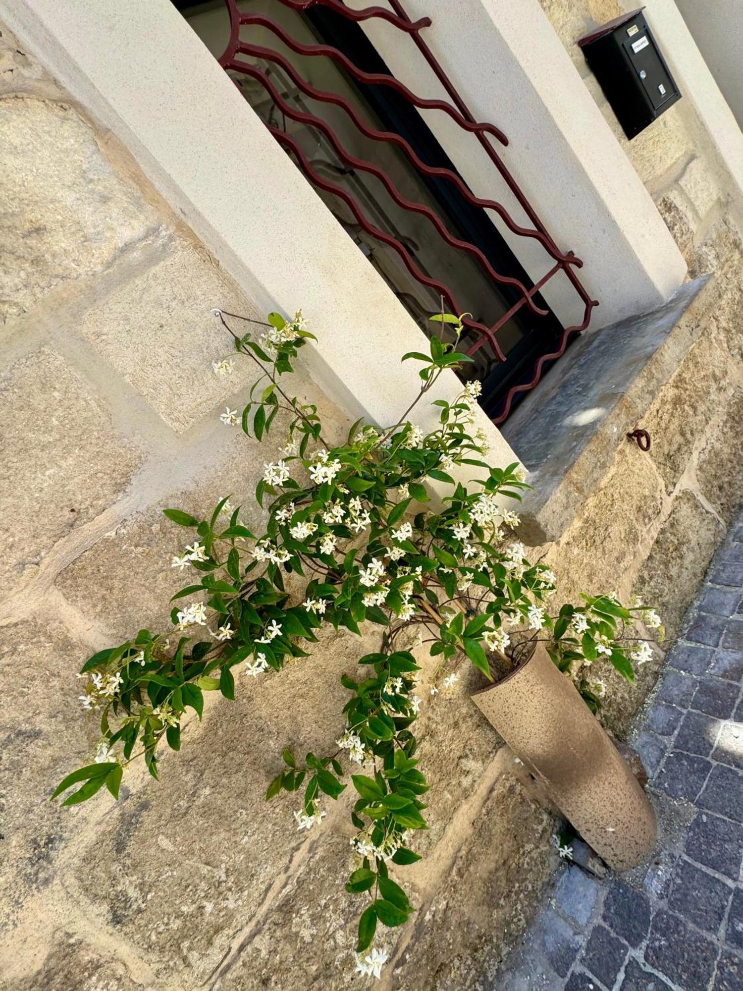 Maison De Village Renovee ! Ле-Гро-дю-Руа Экстерьер фото